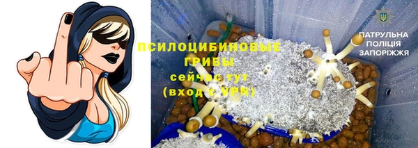 мяу мяу мука Баксан