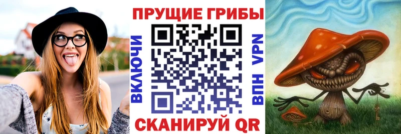 Псилоцибиновые грибы Cubensis  Троицк 