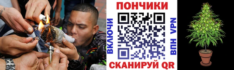 Бошки Шишки Amnesia  Троицк 